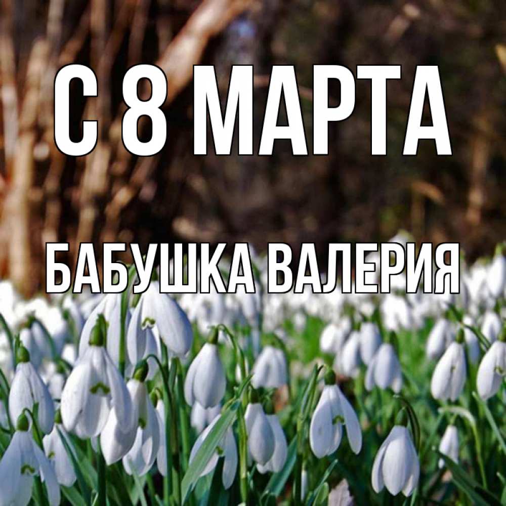 Открытка на каждый день с именем, Бабушка-Валерия С 8 марта с подснежниками 1 Прикольная открытка с пожеланием онлайн скачать бесплатно 