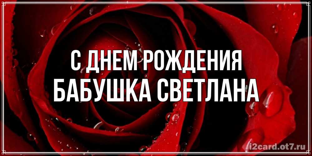 Открытка на каждый день с именем, Бабушка-Светлана С днем рождения крупная бордовая роза Прикольная открытка с пожеланием онлайн скачать бесплатно 