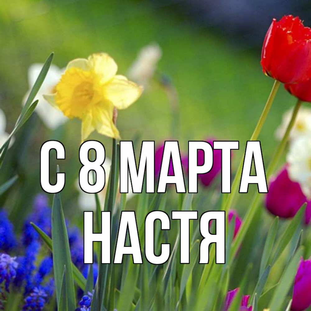 Картинка С 8 МАРТА, Настя