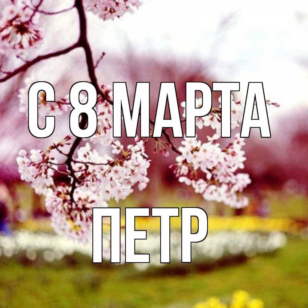 Открытка на каждый день с именем, Петр С 8 МАРТА яблоня Прикольная открытка с пожеланием онлайн скачать бесплатно 