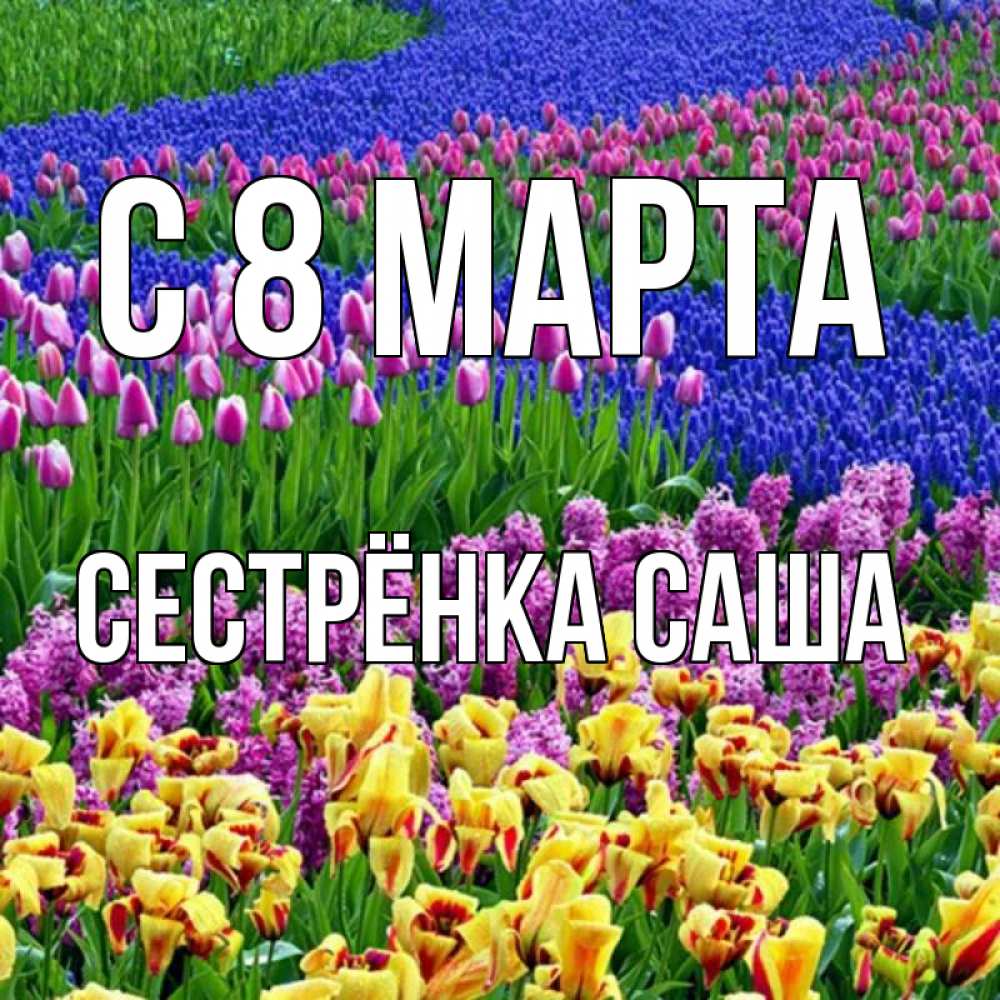 Открытка на каждый день с именем, Сестрёнка-Саша С 8 МАРТА цветы Прикольная открытка с пожеланием онлайн скачать бесплатно 