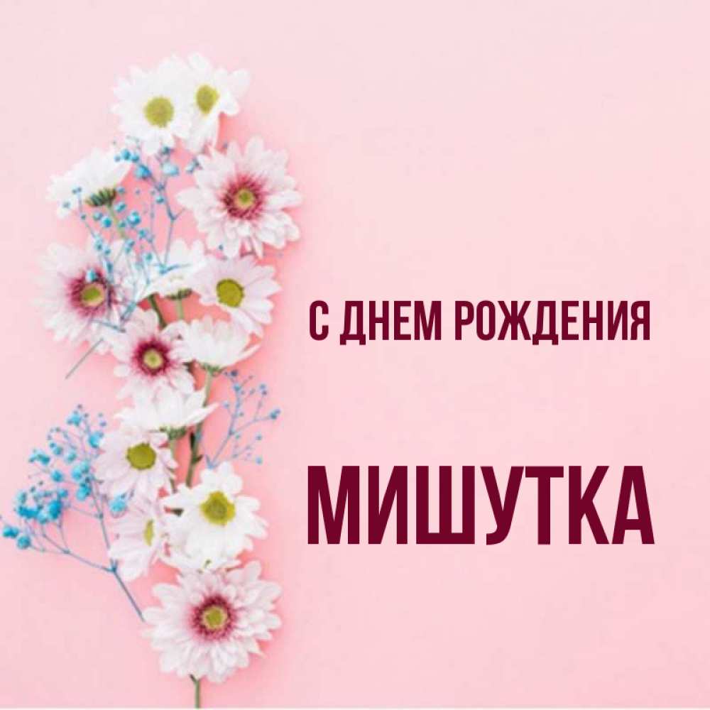 С днем рождения мишутка картинки мужчине