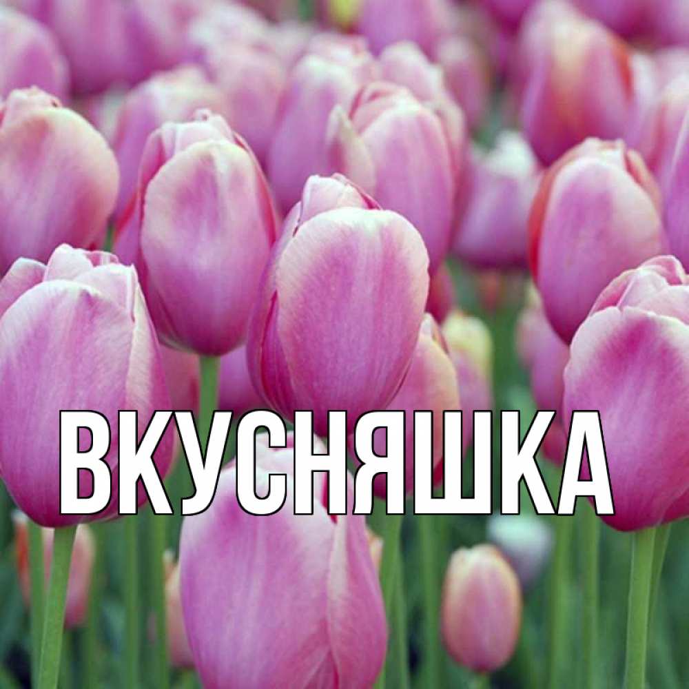 Открытка на каждый день с именем, Вкусняшка Главная на наурыз  день 3 Прикольная открытка с пожеланием онлайн скачать бесплатно 