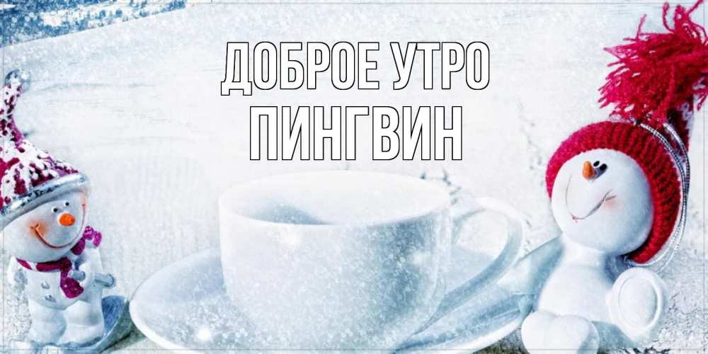 Открытка на каждый день с именем, пингвин Доброе утро чаша замерзшая Прикольная открытка с пожеланием онлайн скачать бесплатно 