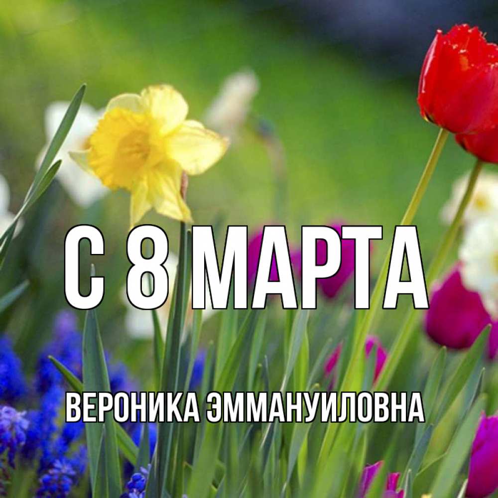 Открытка на каждый день с именем, Вероника-Эммануиловна С 8 МАРТА международный женский день 3 Прикольная открытка с пожеланием онлайн скачать бесплатно 