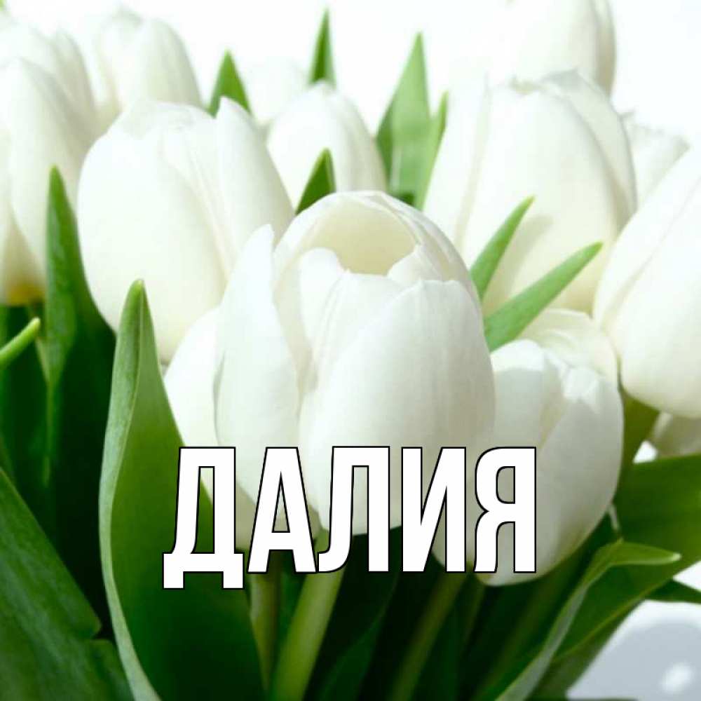 Картинка  с именем , Далия