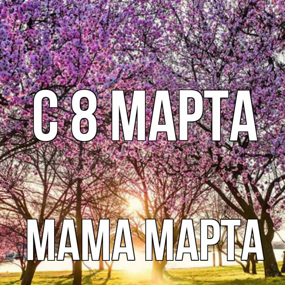 Открытка на каждый день с именем, Мама-Марта С 8 марта международный женский день Прикольная открытка с пожеланием онлайн скачать бесплатно 