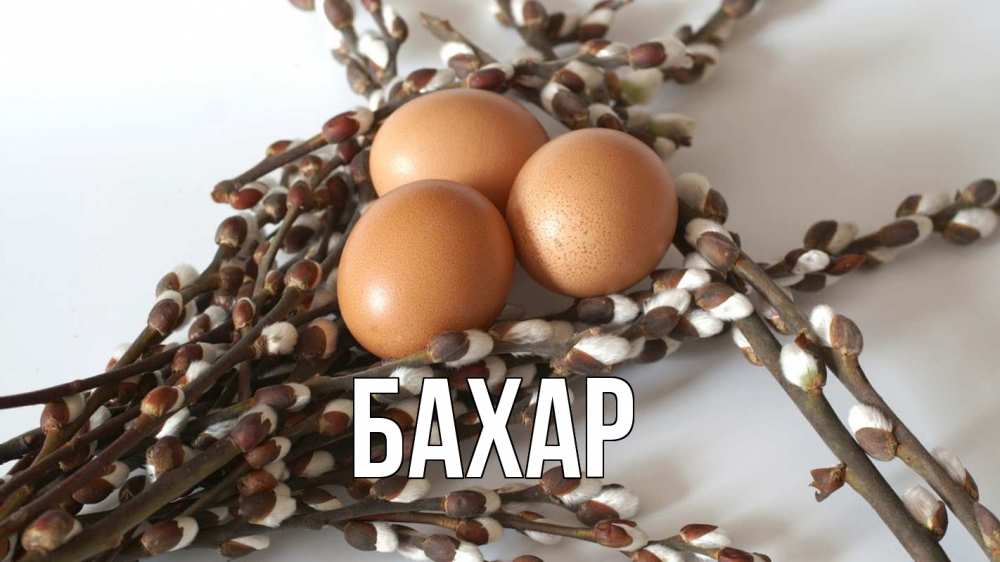 Открытка на каждый день с именем, Бахар Главная верба 1 Прикольная открытка с пожеланием онлайн скачать бесплатно 