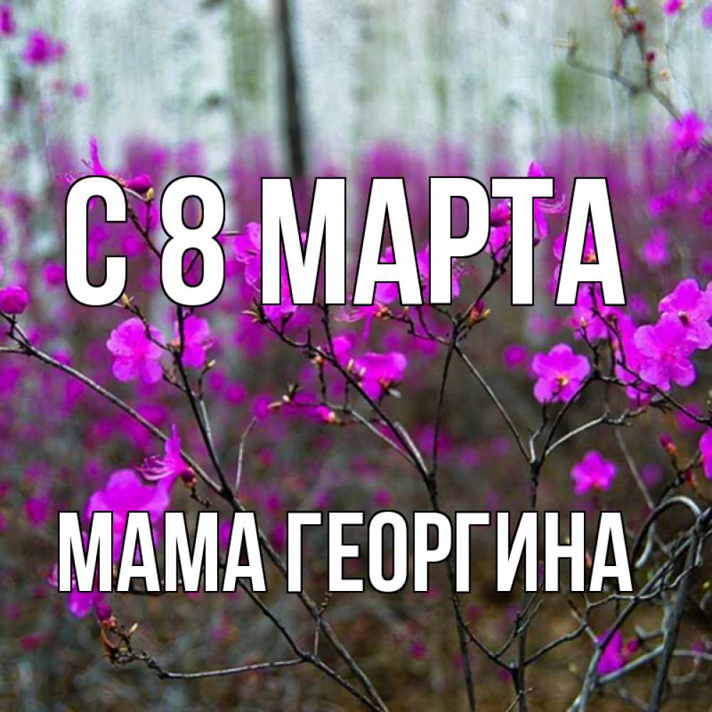 Открытка на каждый день с именем, Мама-Георгина С 8 марта дикие цветы Прикольная открытка с пожеланием онлайн скачать бесплатно 