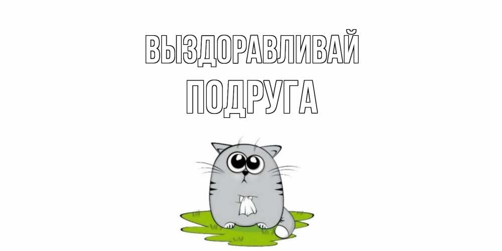 Открытка на каждый день с именем, Подруга Выздоравливай кот и открытки про выздоровление Прикольная открытка с пожеланием онлайн скачать бесплатно 