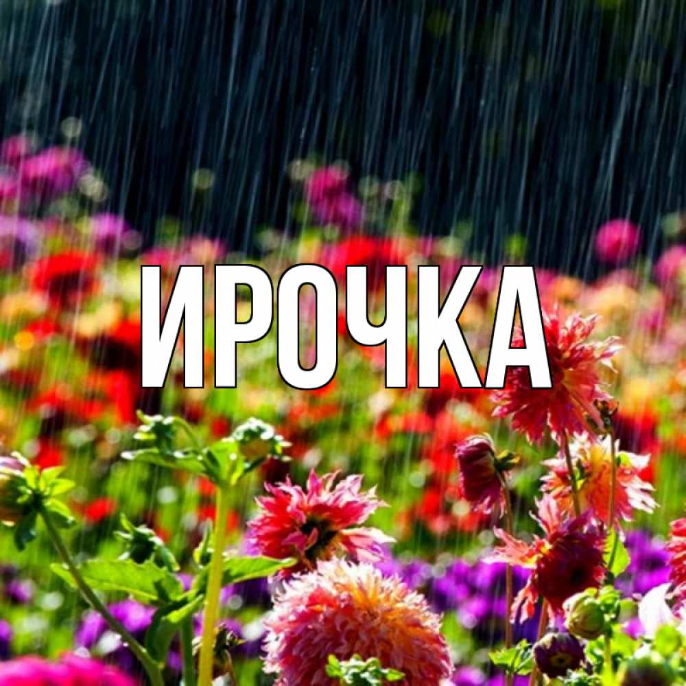 Картинка  с именем , ирочка