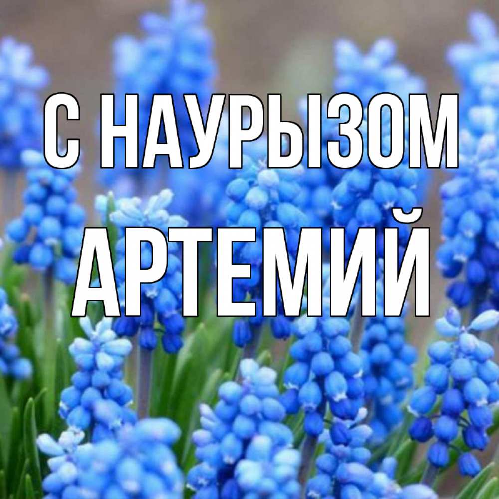 Открытка на каждый день с именем, Артемий С наурызом Поздравительная открытка для женщин с цветами на праздничную дату Прикольная открытка с пожеланием онлайн скачать бесплатно 