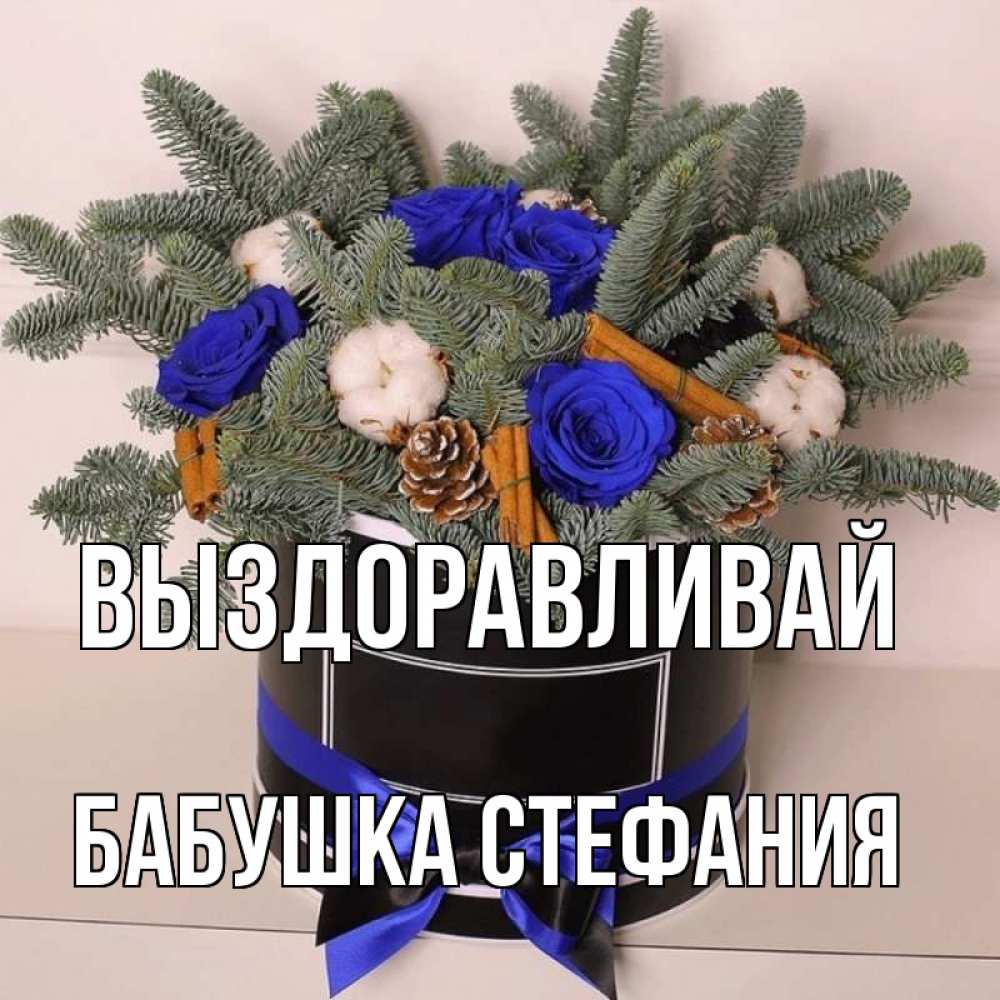 Открытка на каждый день с именем, Бабушка-Стефания Выздоравливай короче кто то загрузил эти шишки Прикольная открытка с пожеланием онлайн скачать бесплатно 