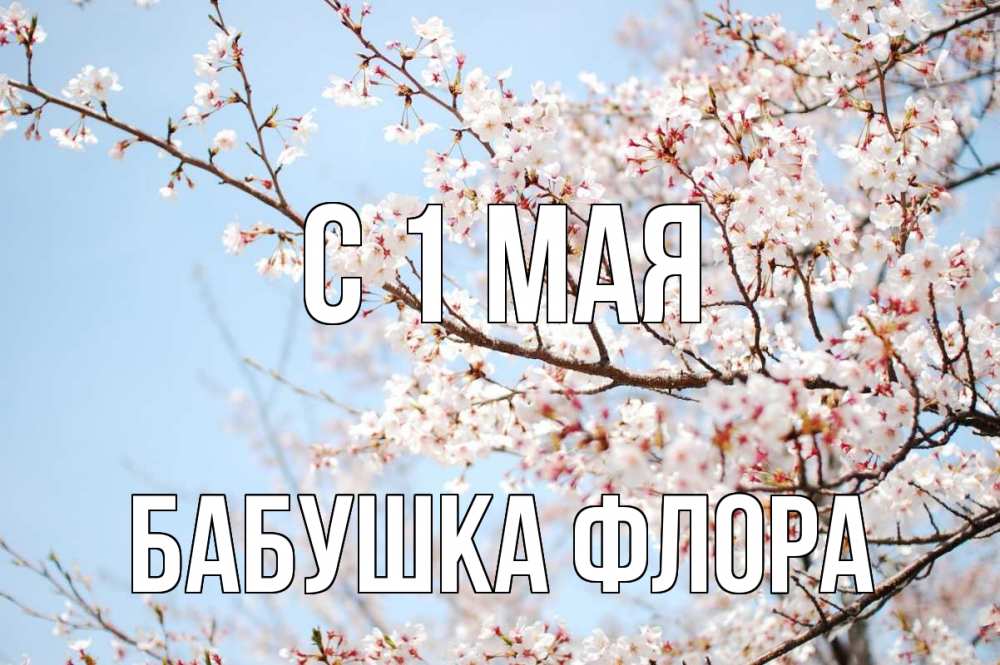 Открытка на каждый день с именем, Бабушка-Флора С 1 мая С 1 мая Прикольная открытка с пожеланием онлайн скачать бесплатно 