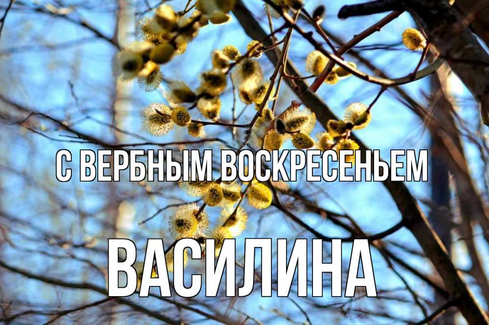 Открытка на каждый день с именем, Василина С вербным воскресеньем верба Прикольная открытка с пожеланием онлайн скачать бесплатно 