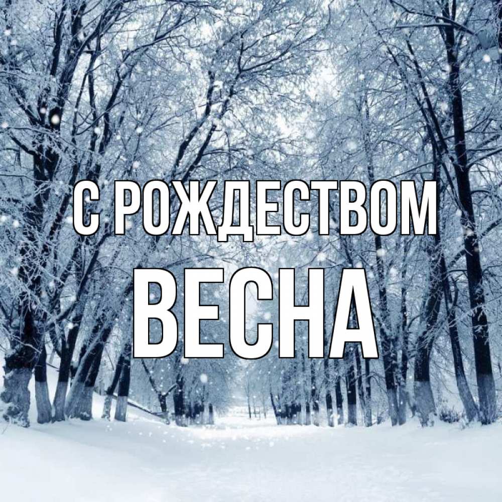 Открытка на каждый день с именем, Весна С рождеством снег, лес, парк Прикольная открытка с пожеланием онлайн скачать бесплатно 