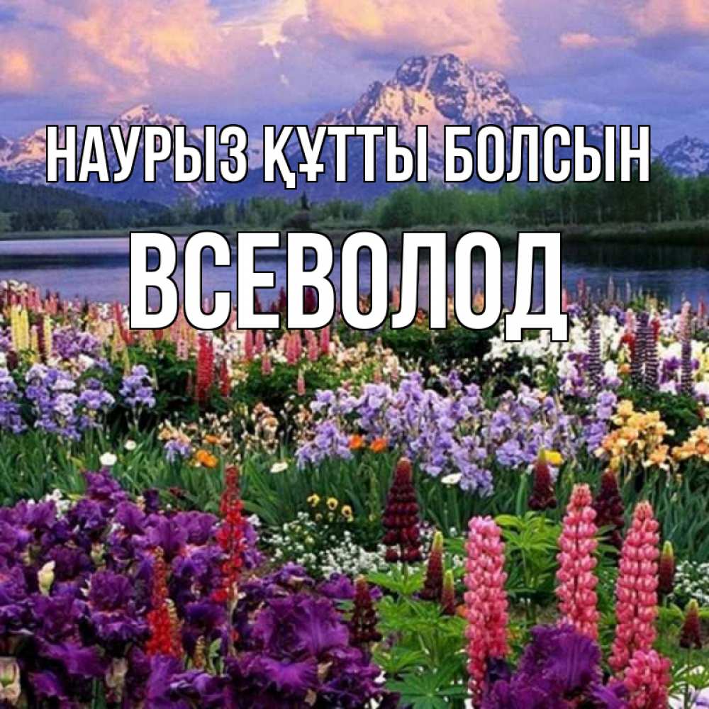 Открытка на каждый день с именем, Всеволод Наурыз құтты болсын наурыз Прикольная открытка с пожеланием онлайн скачать бесплатно 