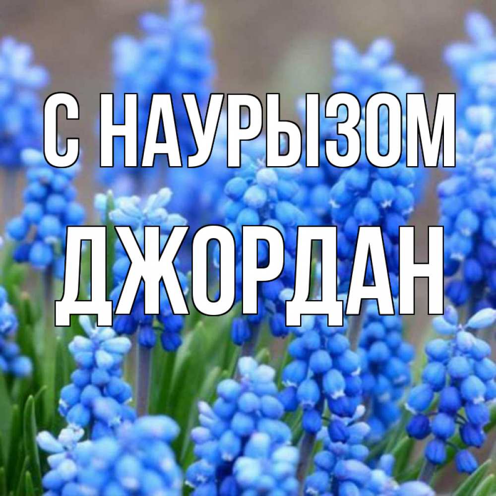 Открытка на каждый день с именем, Джордан С наурызом Поздравительная открытка для женщин с цветами на праздничную дату Прикольная открытка с пожеланием онлайн скачать бесплатно 