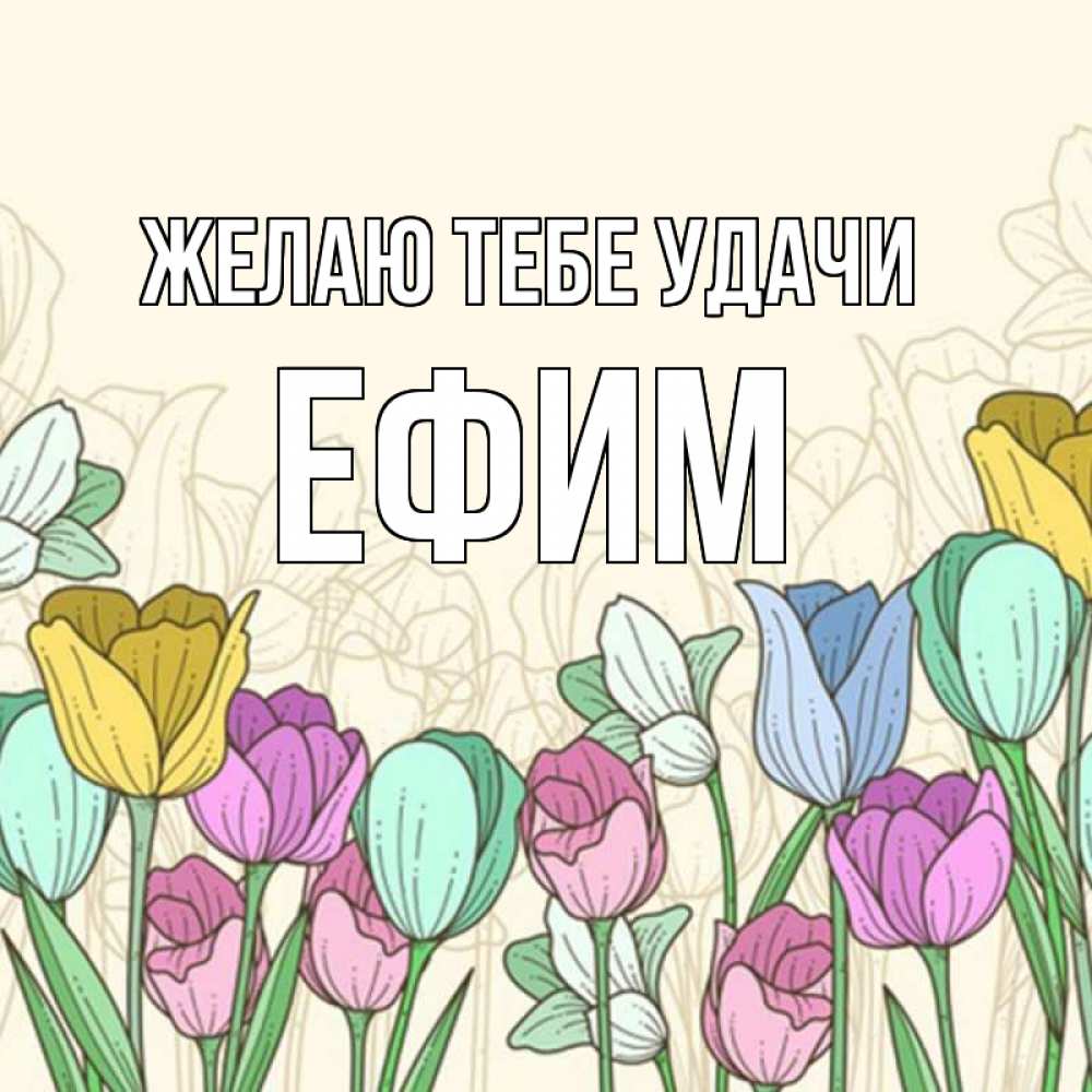 Открытка на каждый день с именем, Ефим Желаю тебе удачи тюльпаны Прикольная открытка с пожеланием онлайн скачать бесплатно 