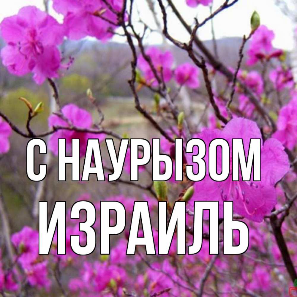 Открытка на каждый день с именем, Израиль С наурызом праздник весны наурыз Прикольная открытка с пожеланием онлайн скачать бесплатно 