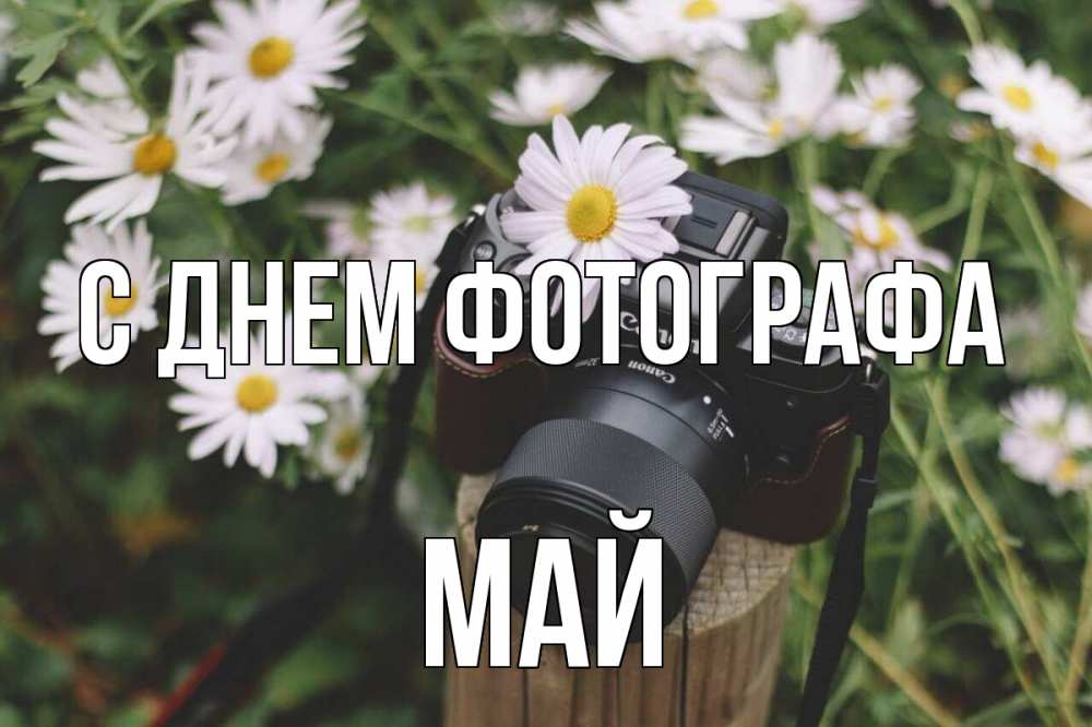 Открытка на каждый день с именем, Май С днем фотографа с днем фотографа Прикольная открытка с пожеланием онлайн скачать бесплатно 