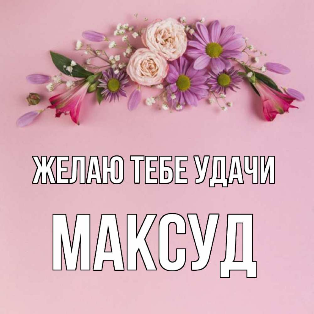 Открытка на каждый день с именем, Максуд Желаю тебе удачи розовый фон Прикольная открытка с пожеланием онлайн скачать бесплатно 
