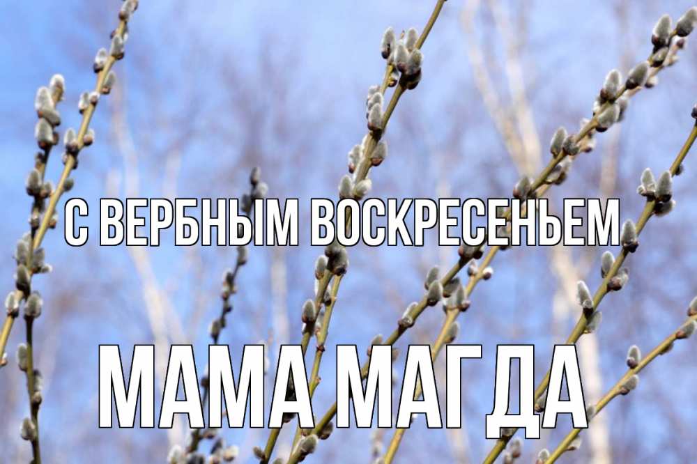 Открытка на каждый день с именем, Мама-Магда С вербным воскресеньем верба Прикольная открытка с пожеланием онлайн скачать бесплатно 