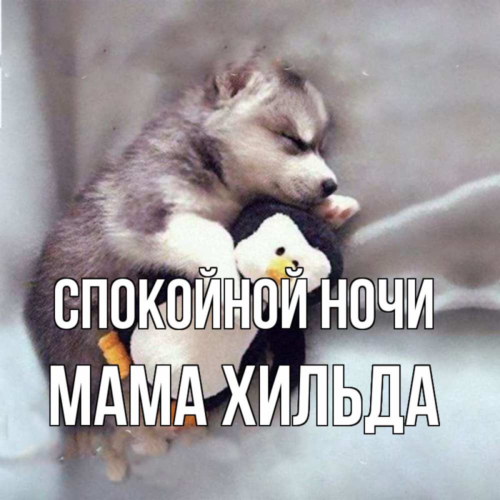 Открытка на каждый день с именем, Мама-Хильда Спокойной ночи обнимашки щенка и пингвина Прикольная открытка с пожеланием онлайн скачать бесплатно 