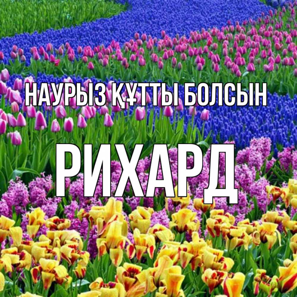 Открытка на каждый день с именем, Рихард Наурыз құтты болсын цветы Прикольная открытка с пожеланием онлайн скачать бесплатно 