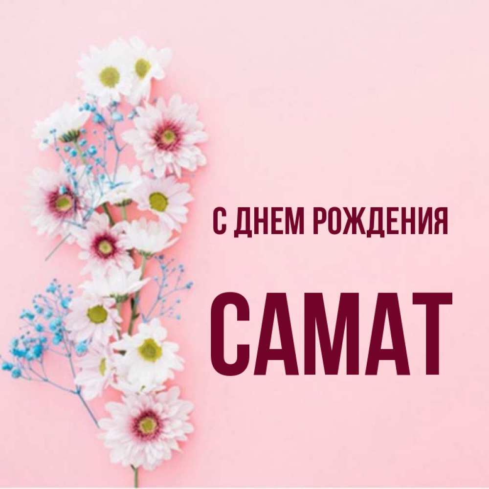 Открытка на каждый день с именем, Самат С днем рождения Родная моя с днем рождения тебя картинка с цветами белыми и голубыми Прикольная открытка с пожеланием онлайн скачать бесплатно 