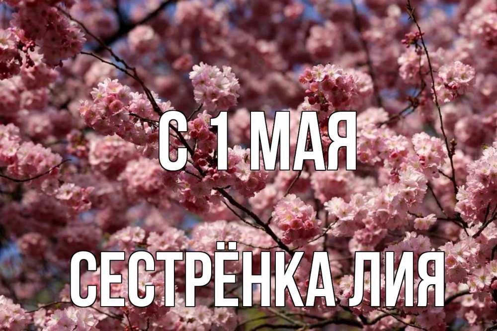 Открытка на каждый день с именем, Сестрёнка-Лия С 1 мая С 1 мая Прикольная открытка с пожеланием онлайн скачать бесплатно 