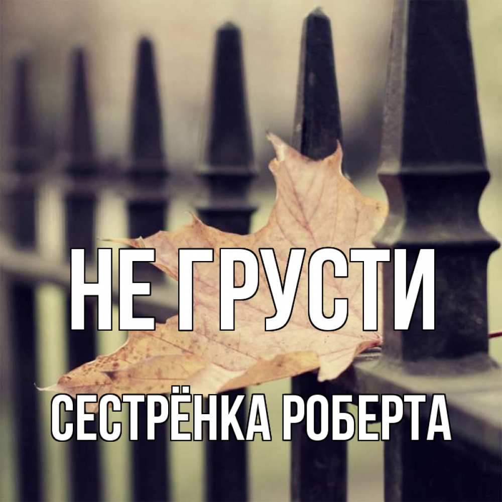 Открытка на каждый день с именем, Сестрёнка-Роберта Не грусти лист клена Прикольная открытка с пожеланием онлайн скачать бесплатно 