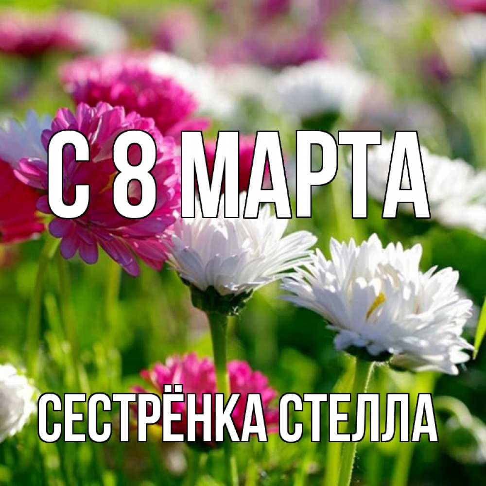 Открытка на каждый день с именем, Сестрёнка-Стелла С 8 МАРТА международный женский день 1 Прикольная открытка с пожеланием онлайн скачать бесплатно 