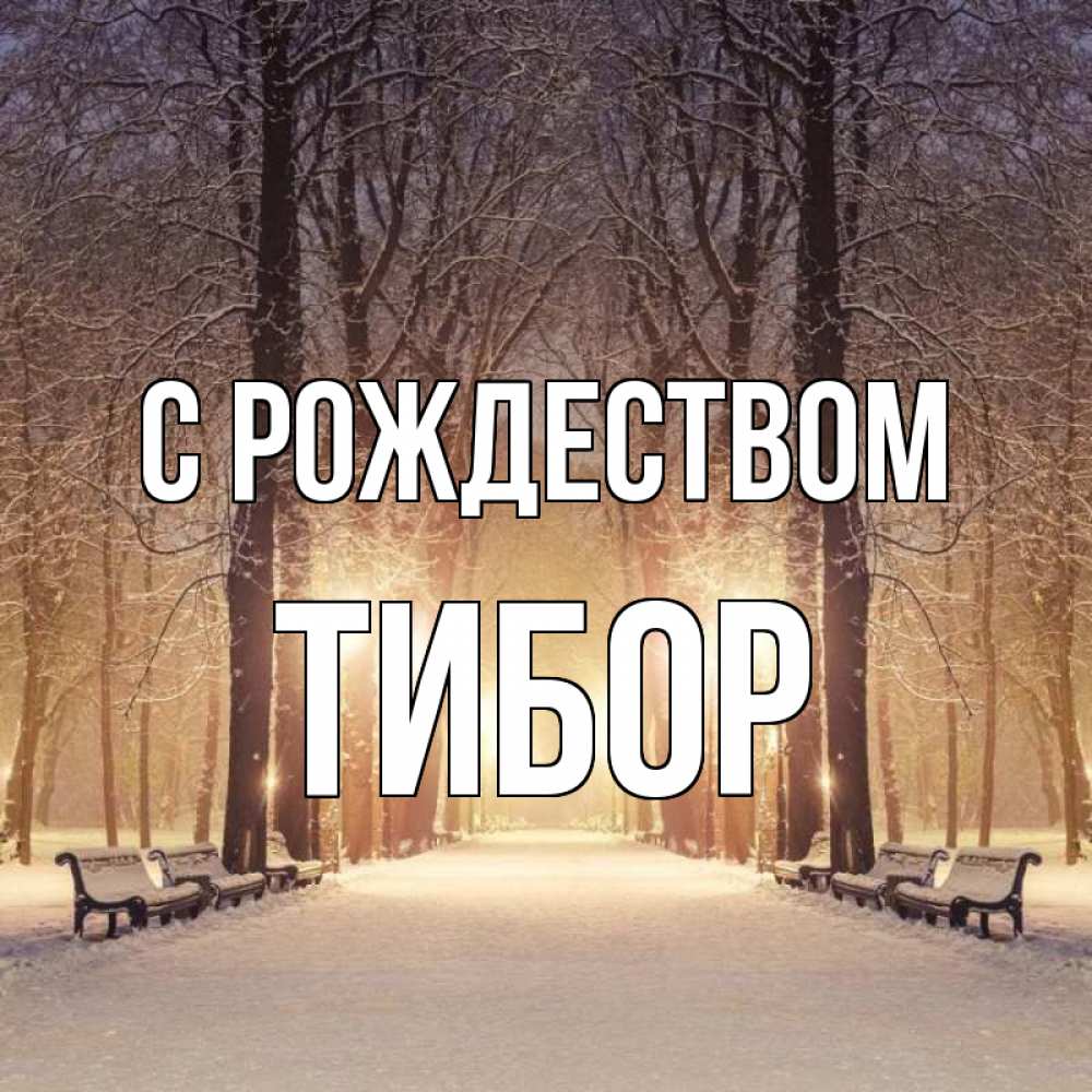 Открытка на каждый день с именем, Тибор С рождеством зима, парк, фонарь, лес Прикольная открытка с пожеланием онлайн скачать бесплатно 