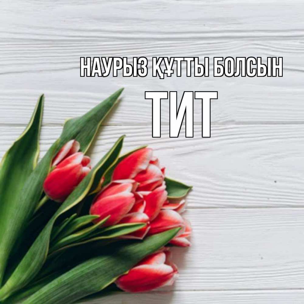 Открытка на каждый день с именем, Тит Наурыз құтты болсын весна 2 Прикольная открытка с пожеланием онлайн скачать бесплатно 