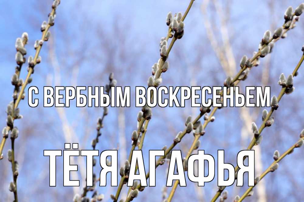 Открытка на каждый день с именем, Тётя-Агафья С вербным воскресеньем верба Прикольная открытка с пожеланием онлайн скачать бесплатно 