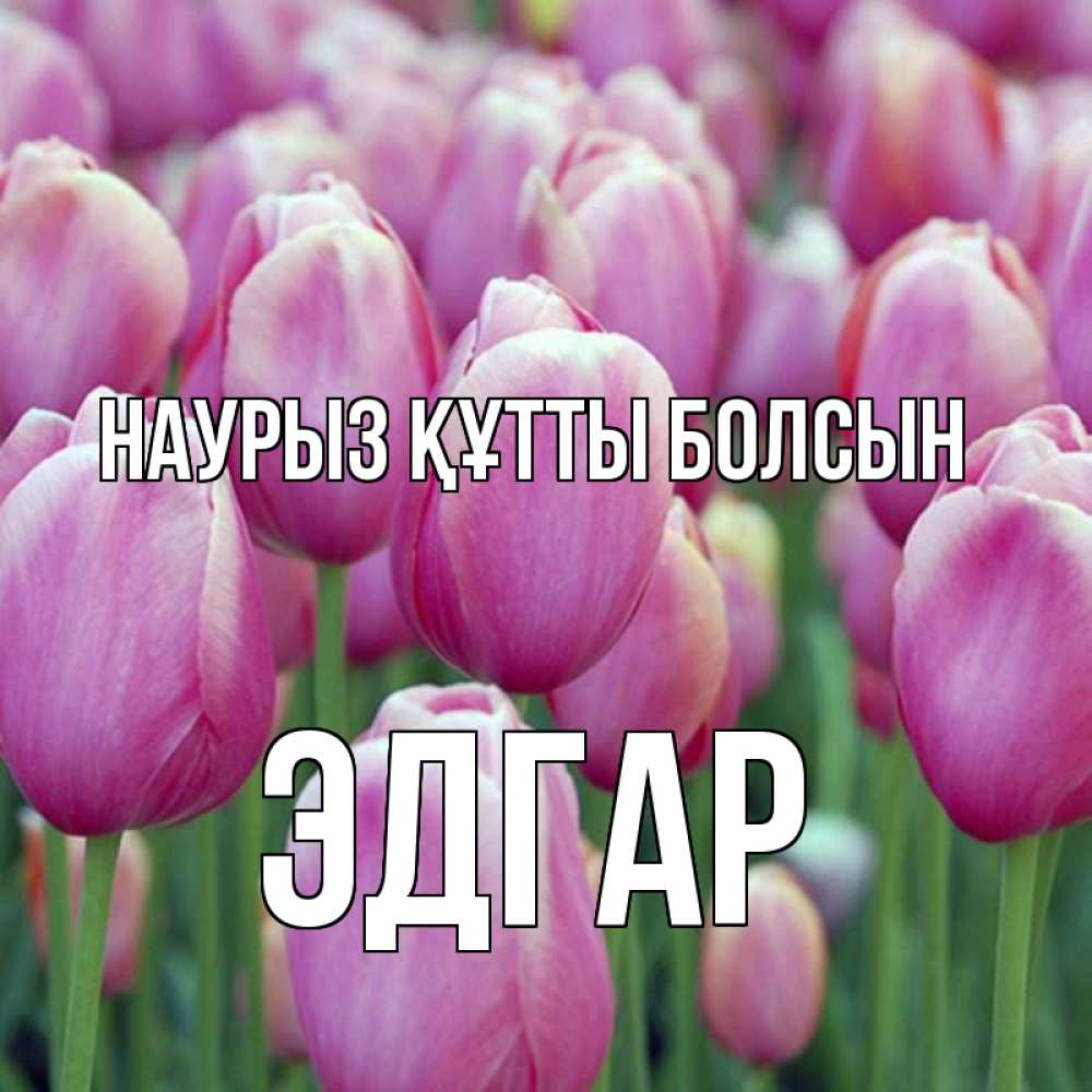 Открытка на каждый день с именем, Эдгар Наурыз құтты болсын на наурыз  день 3 Прикольная открытка с пожеланием онлайн скачать бесплатно 