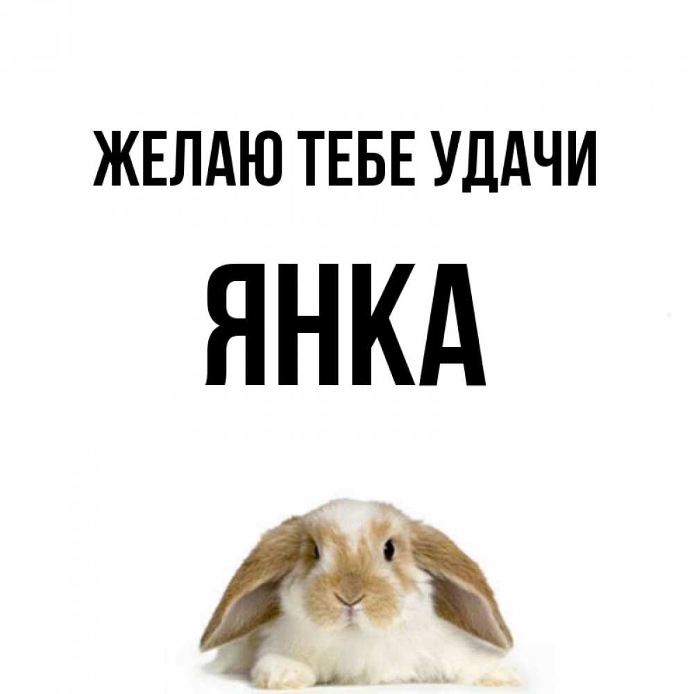 Открытка на каждый день с именем, Янка Желаю тебе удачи открытки с произвольным текстом который можно вставить в открытку и создать ее самостоятельно бесплатно онлайн Прикольная открытка с пожеланием онлайн скачать бесплатно 