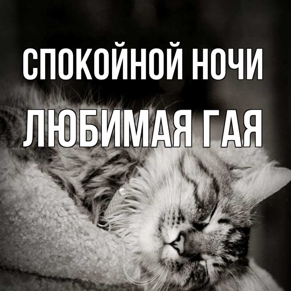 Открытки, картинки спокойной ночи целую обнимаю