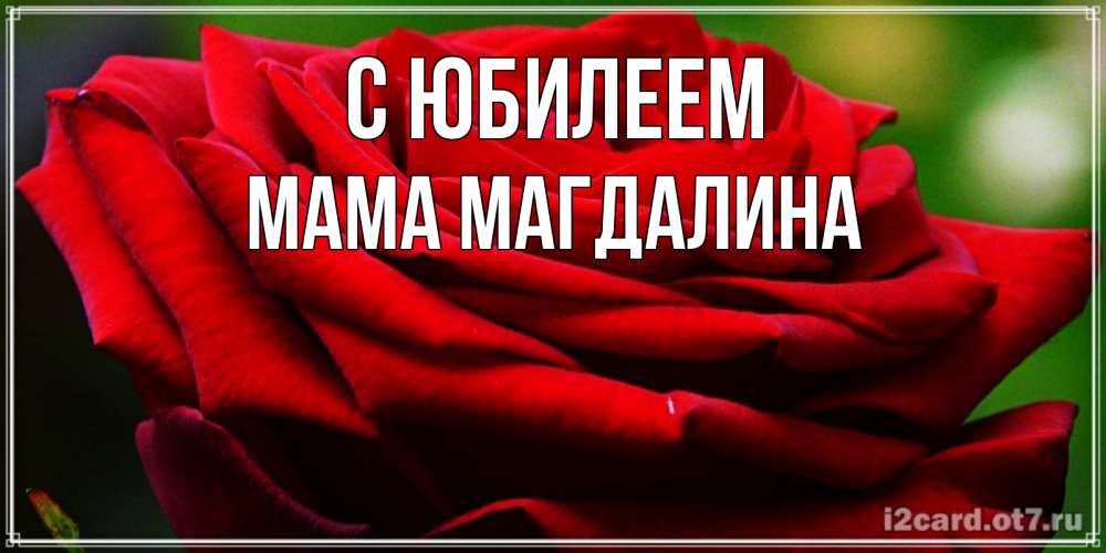 Открытка на каждый день с именем, Мама-Магдалина С юбилеем розочка очень красивая Прикольная открытка с пожеланием онлайн скачать бесплатно 