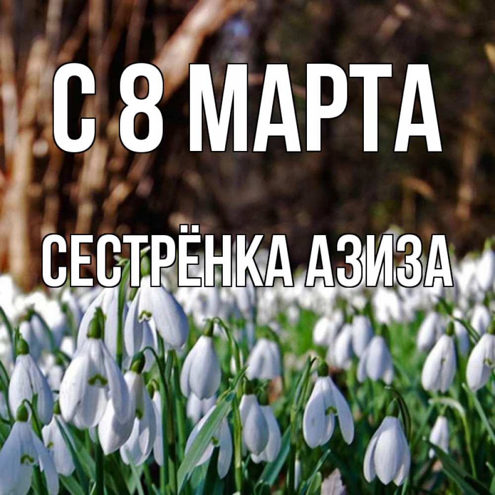 Открытка на каждый день с именем, Сестрёнка-Азиза С 8 МАРТА с подснежниками 1 Прикольная открытка с пожеланием онлайн скачать бесплатно 