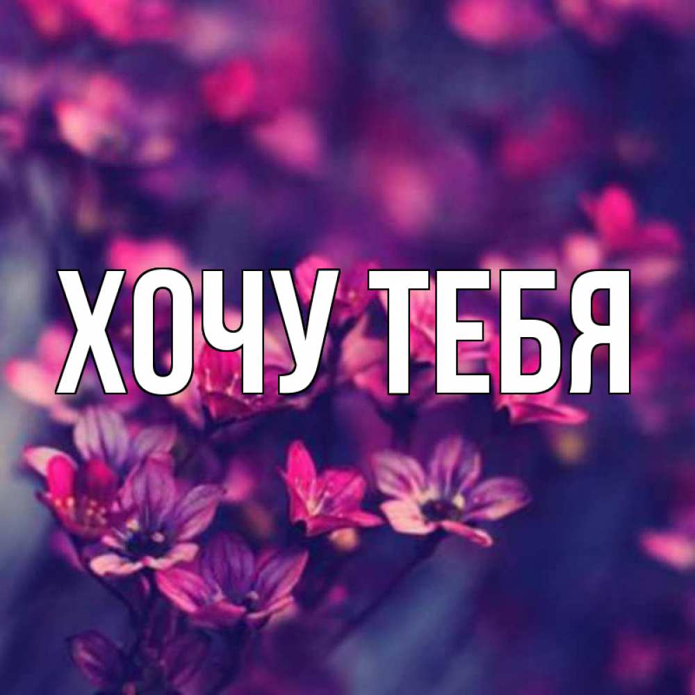 Открытка на каждый день с именем, Хочу-тебя Главная небольшие цветы 1 Прикольная открытка с пожеланием онлайн скачать бесплатно 