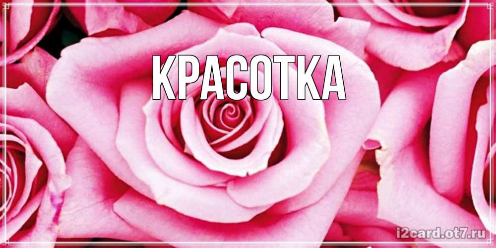 Открытка на каждый день с именем, красотка Главная открытка с розовой розой на день рождения Прикольная открытка с пожеланием онлайн скачать бесплатно 