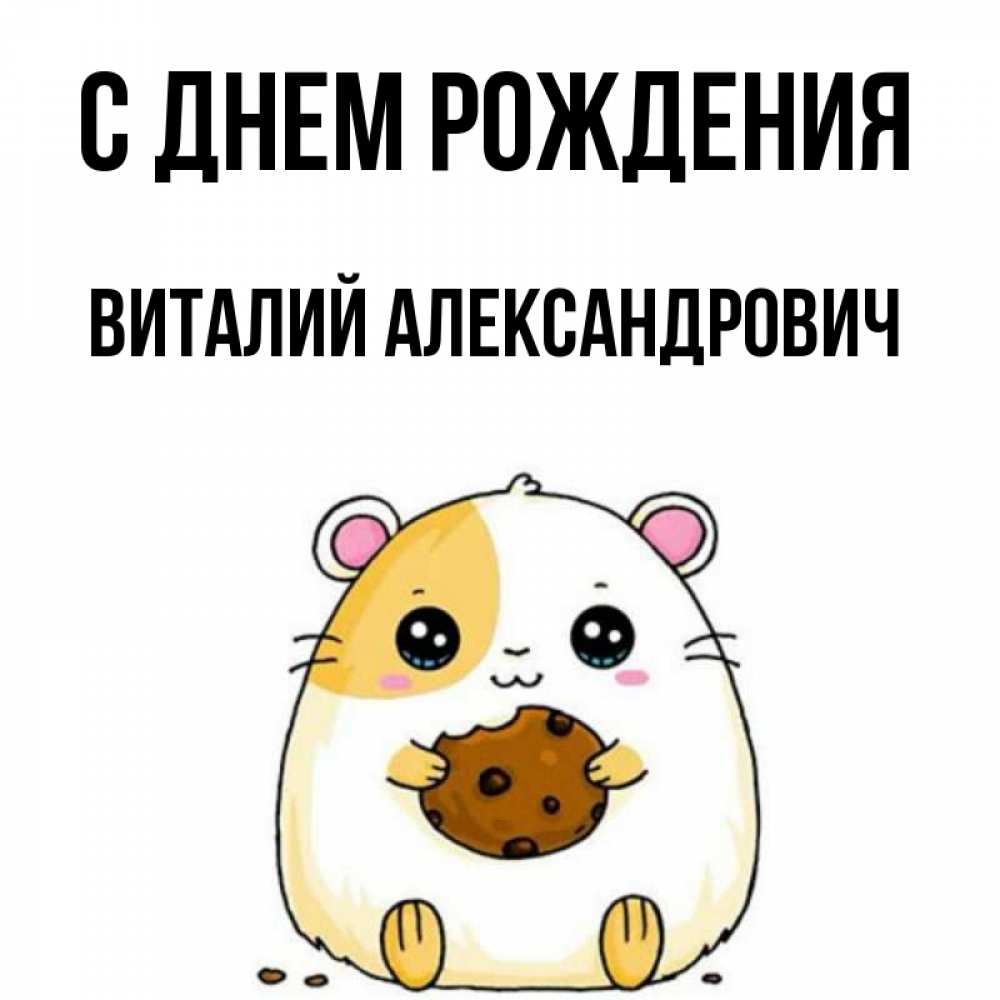 Фото с днем рождения виталий Открытка с именем Виталий Александрович С днем рождения Хомяк жрет печеньку. Отк