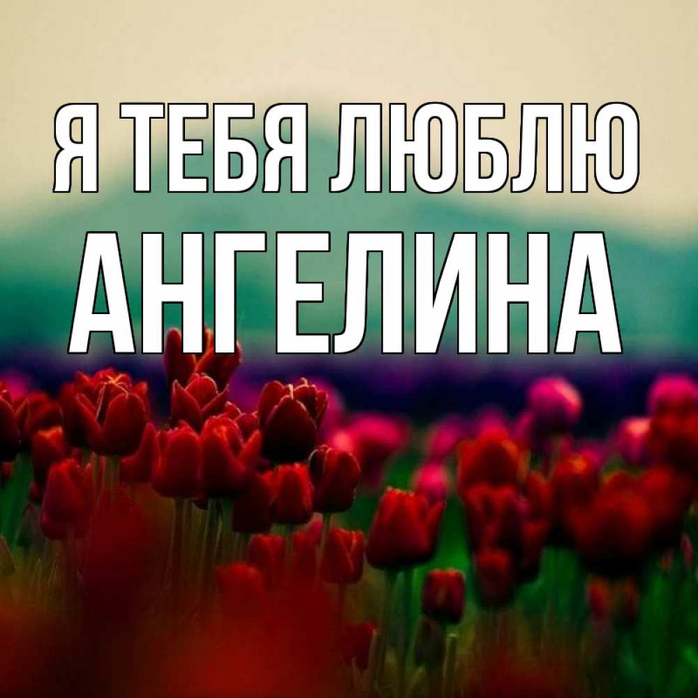 Открытка на каждый день с именем, Ангелина Я тебя люблю тюльпаны 4 Прикольная открытка с пожеланием онлайн скачать бесплатно 