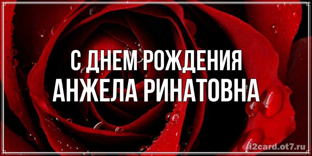 Открытка на каждый день с именем, Анжела-Ринатовна С днем рождения крупная бордовая роза Прикольная открытка с пожеланием онлайн скачать бесплатно 