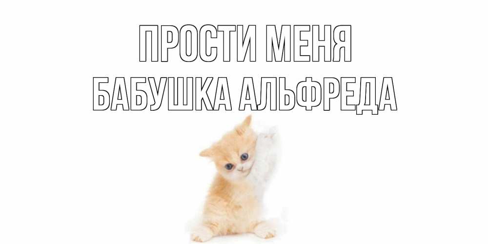 Открытка на каждый день с именем, Бабушка-Альфреда Прости меня кот Прикольная открытка с пожеланием онлайн скачать бесплатно 