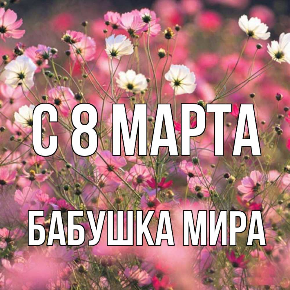 Открытка на каждый день с именем, Бабушка-Мира С 8 МАРТА красиво 1 Прикольная открытка с пожеланием онлайн скачать бесплатно 