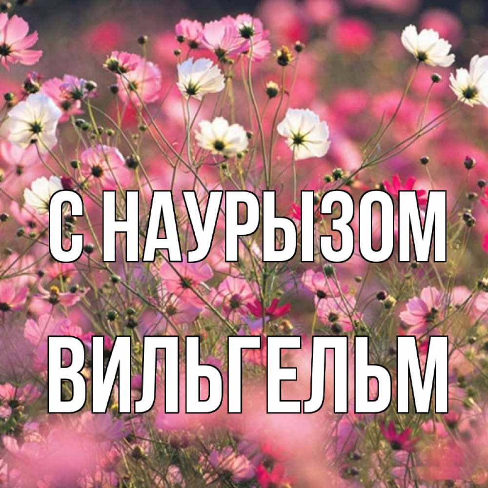 Открытка на каждый день с именем, Вильгельм С наурызом красиво 1 Прикольная открытка с пожеланием онлайн скачать бесплатно 