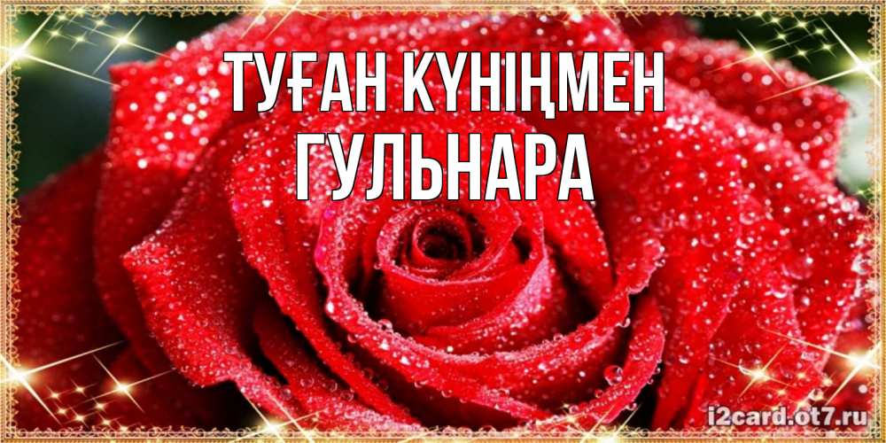 Открытка на каждый день с именем, Гульнара Туған күніңмен роса и роза. открытка с красивой розой Прикольная открытка с пожеланием онлайн скачать бесплатно 